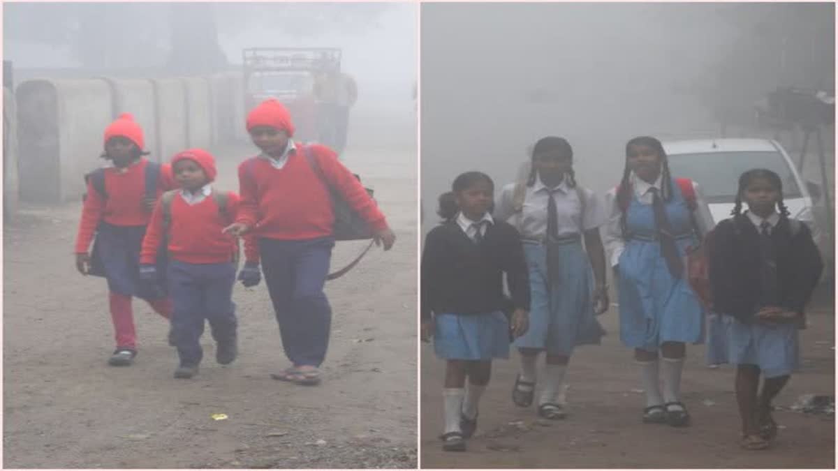 Schools closed due to cold in Jharkhand