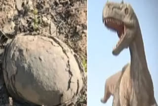 Dinosaur Eggs  Madhya Pradesh Dinosaur Eggs  Dhar Village Dinosaur Egg  Dino Egg Worshiped  Villagers Worshiped Dinosaur Eggs In MP  Villagers Offering Prayers To Dinosaur Eggs  ദിനോസര്‍ മുട്ടകള്‍  മധ്യപ്രദേശ് ധാര്‍ ദിനോസര്‍ മുട്ട  ടൈറ്റനോസോറസ്  മധ്യപ്രദേശ് പാദ്‌ല്യ ഗ്രാമം ദിനോസര്‍ മുട്ട