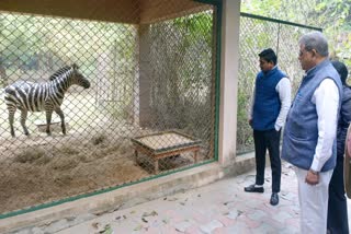 UP Forest Minister directed to tighten security at Lucknow Zoo