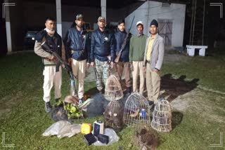 17 wild birds rescued