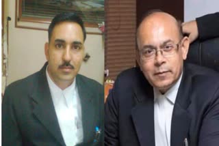 2 lawyers got fee of Rs 6,54 crore