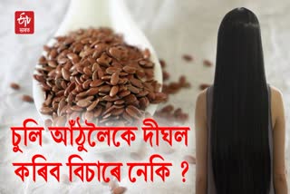 Benefits of Flaxseed : Know How To Use Flaxseed For Hair Growth
