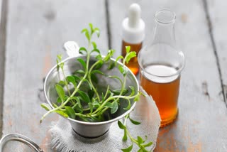 Basil Decoction Benefits