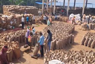 Paddy purchased in Rajnandgaon