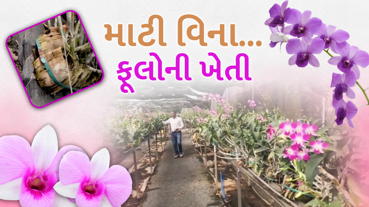 માટી વિના ફૂલોની ખેતી