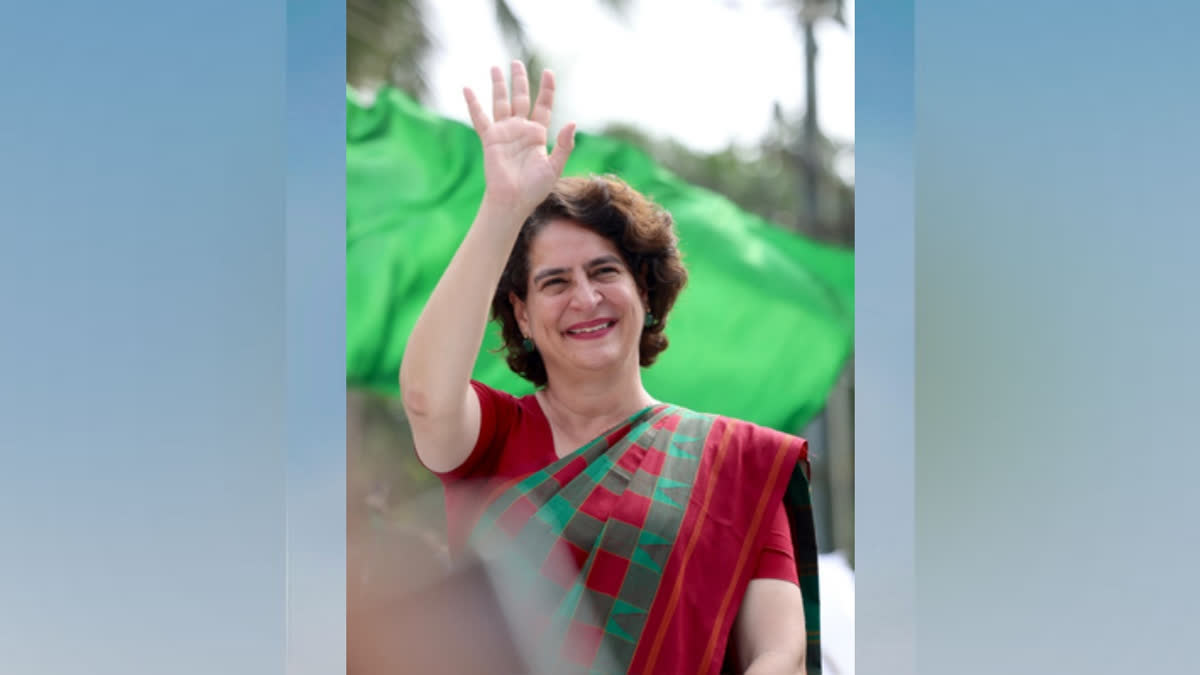 BJPs Wayanad candidate moves Kerala HC challenging Priyankas election