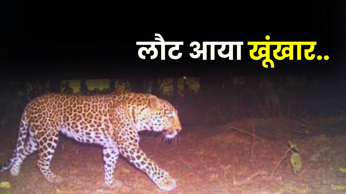 Leopard In Patna