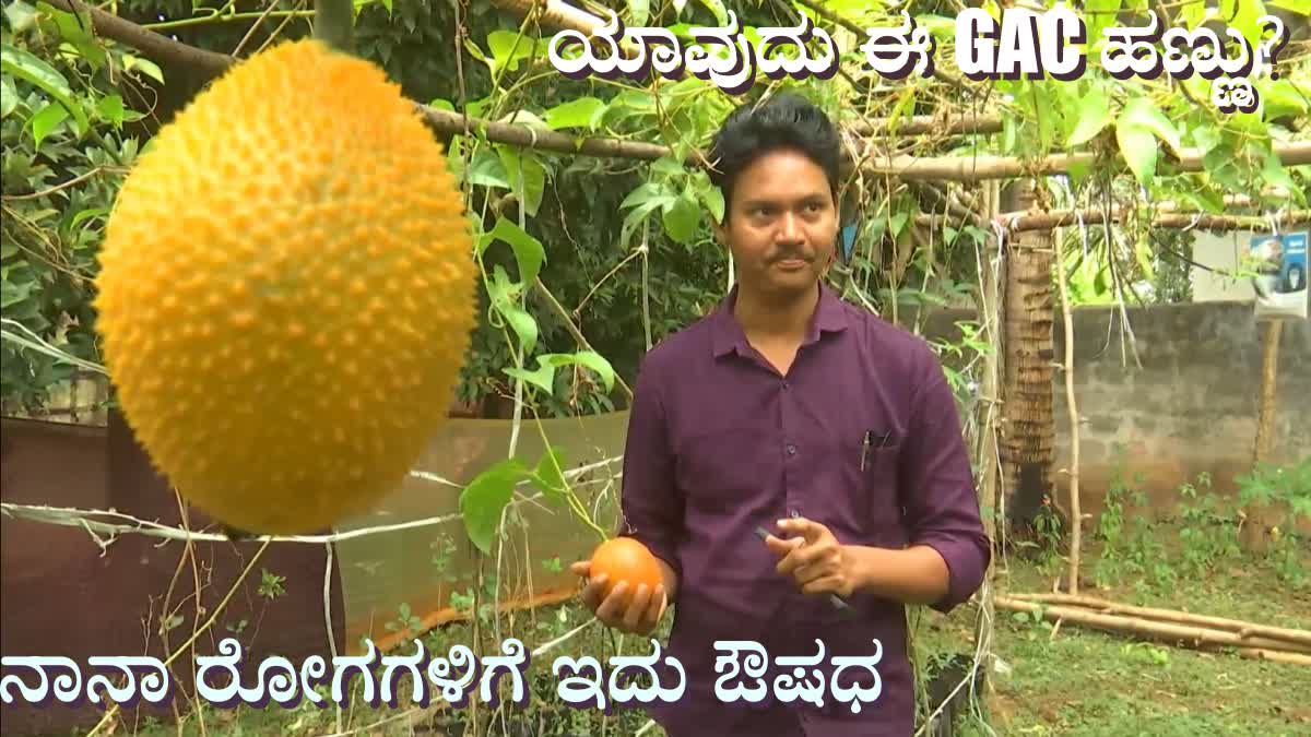 Innovative Young Farmer is Revolutionizing GAC Fruit Cultivation in Eluru