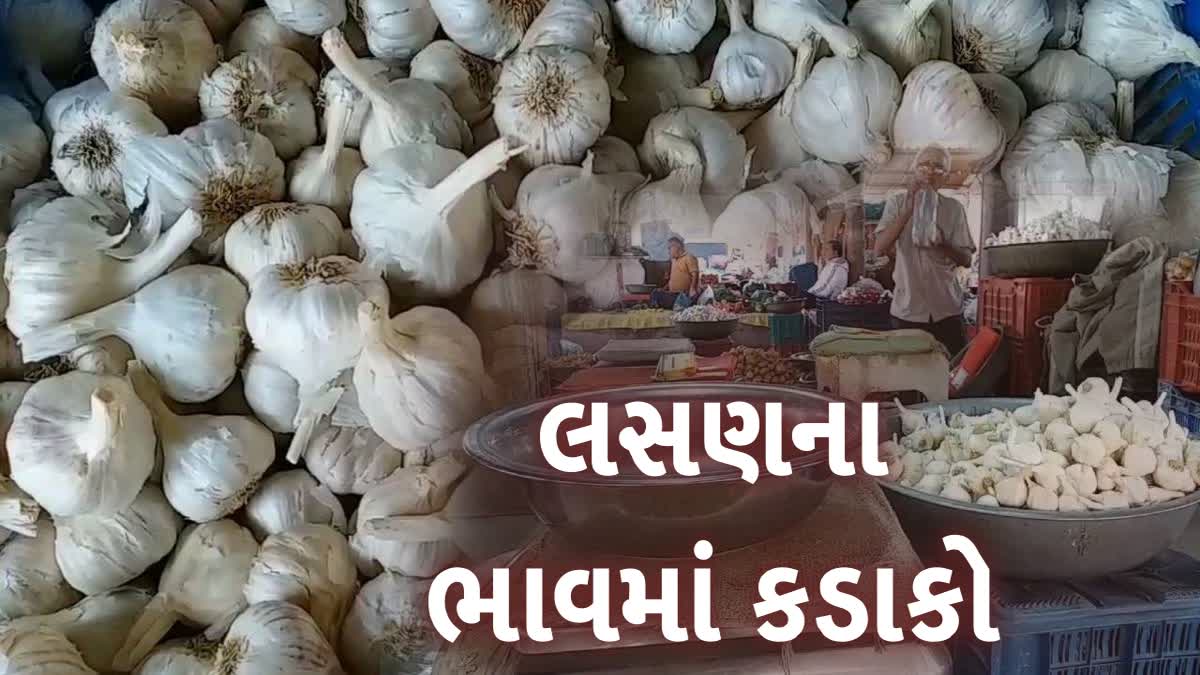 જુનાગઢ માર્કેટ યાર્ડમાં ઠલવાયું 8 ક્વિન્ટલ લસણ