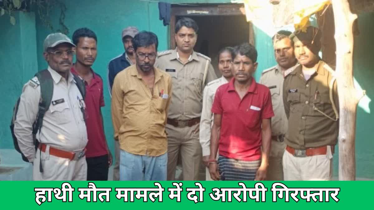 Accused arrested in Nilgai hunting case