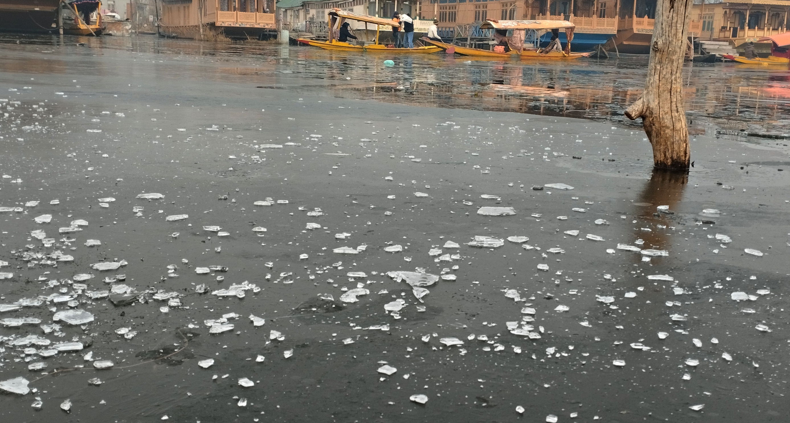 Srinagar Freezes at Minus 8.5