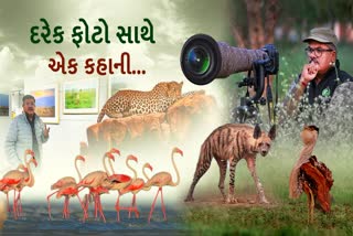 કચ્છની વાઈલ્ડ લાઈફ