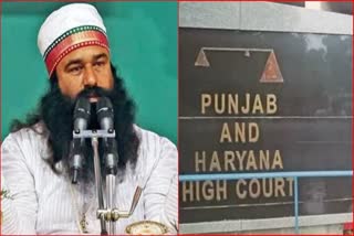 Dera Sacha Sauda Chief Ram Rahim Singh (L) and Punjab and Haryana High Court collage