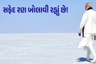 સફેદ રણમાં PM મોદીની તસવીર