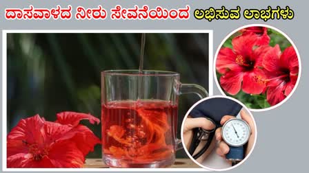 HEALTH BENEFITS OF HIBISCUS WATER  HIBISCUS WATER BENEFITS  HEALTH BENEFITS OF HIBISCUS  ದಾಸವಾಳದ ನೀರಿನ ಲಾಭಗಳು