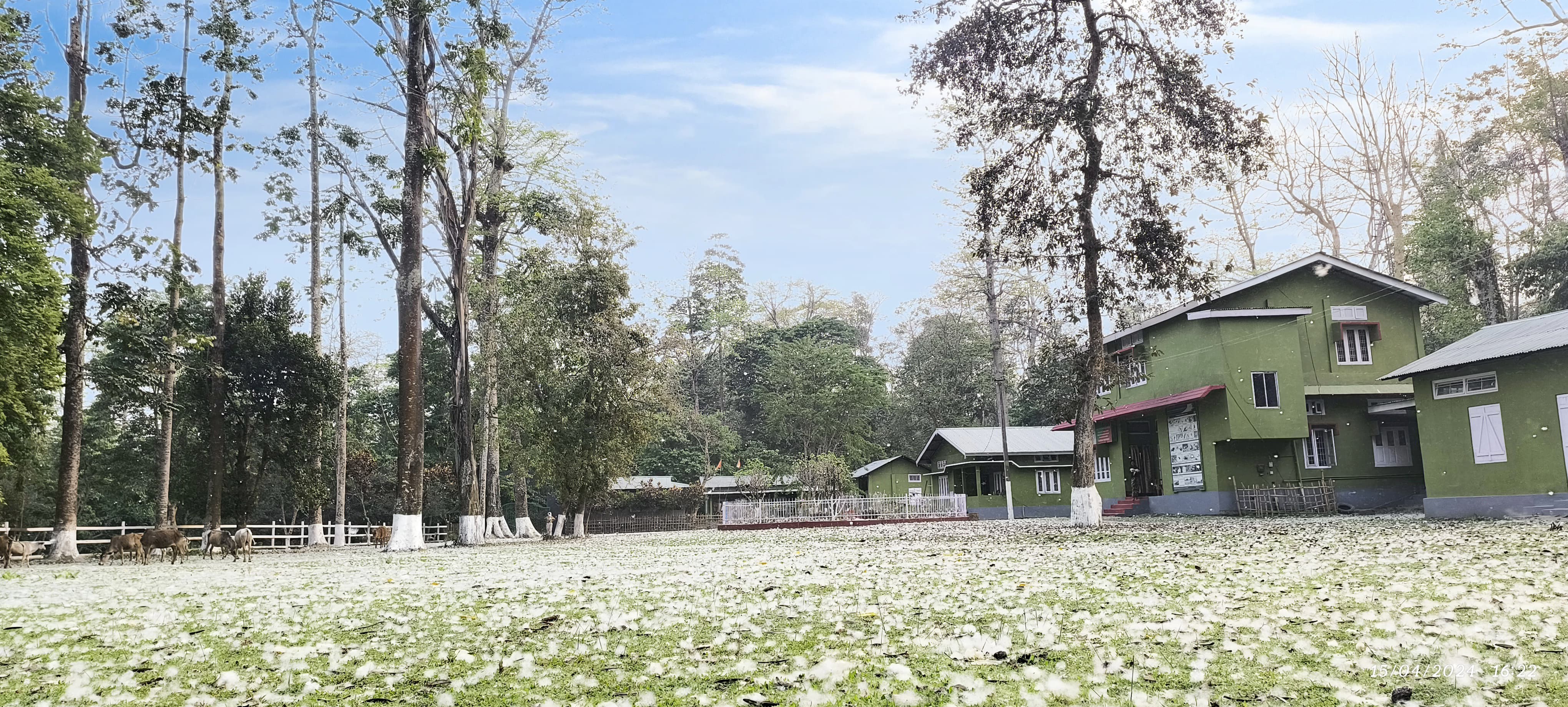 Bura Chapori Wildlife Sanctuary