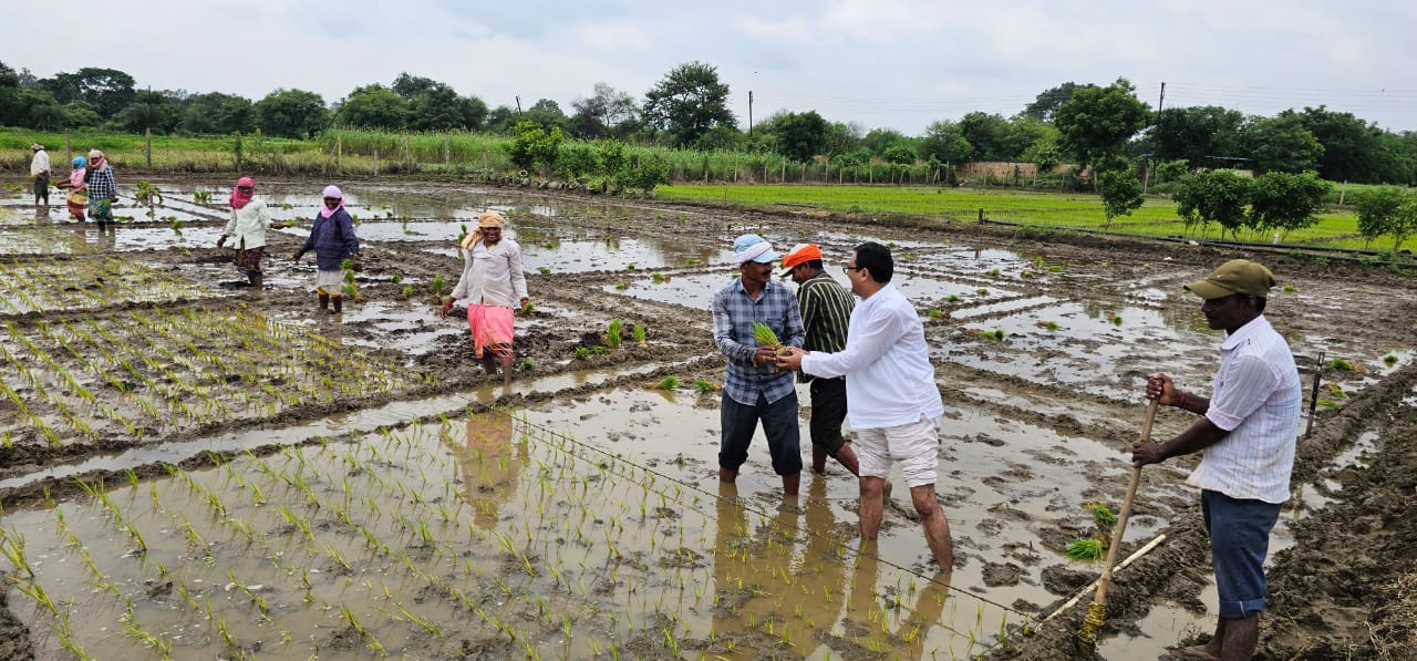 Cow based natural farming