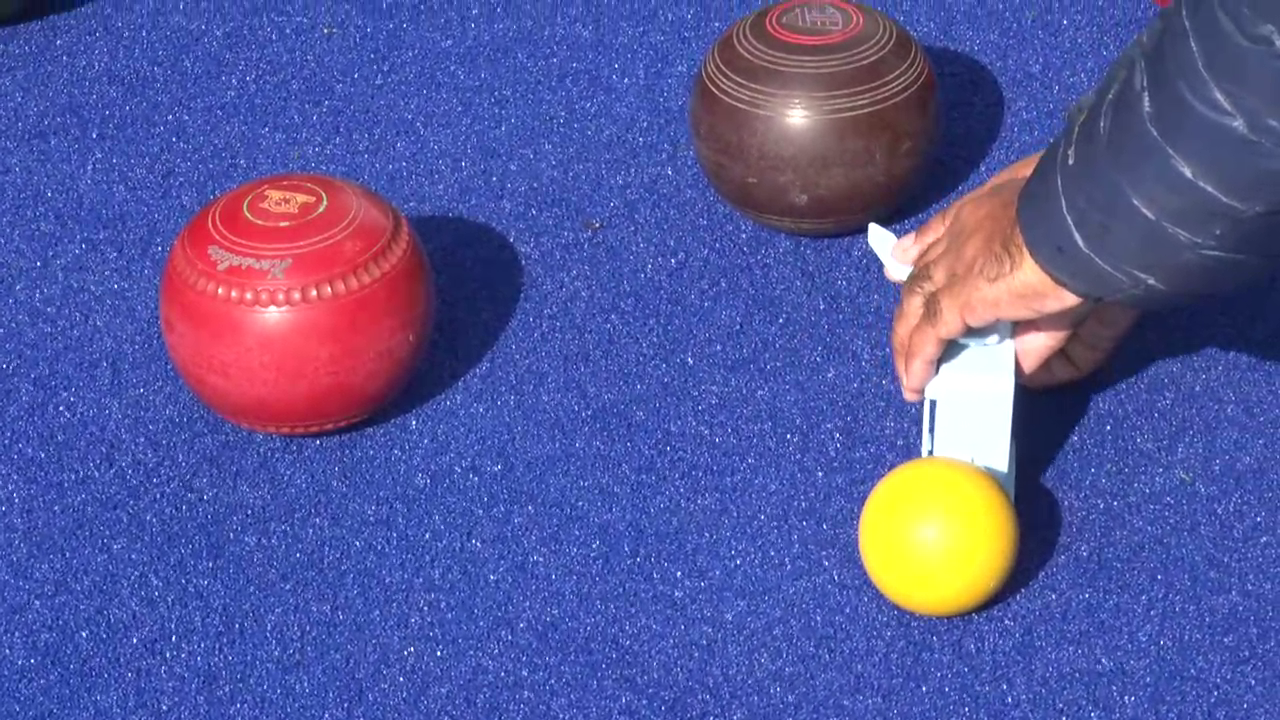 lawn bowls game