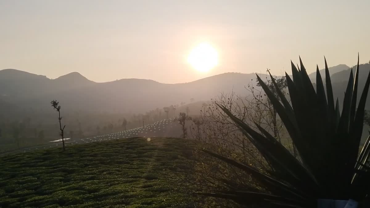 Upputhara View Point  Kerala Tourist Spot  ഉപ്പുതറയിലെ വ്യൂ പോയിന്‍റ്  ഇടുക്കിയില്‍ വിനോദ സഞ്ചാര കേന്ദ്രം