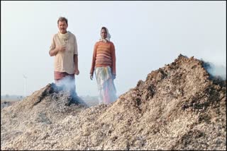 Unknown_Persons_Fired_Crop_In_Anantapur