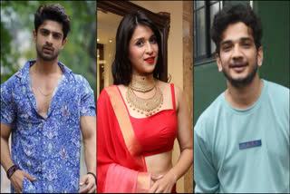 Mannara Chopra, Munawar Faruqui and Abhishek Kumar top 3 finalists? Bigg Boss 17 makers hint so