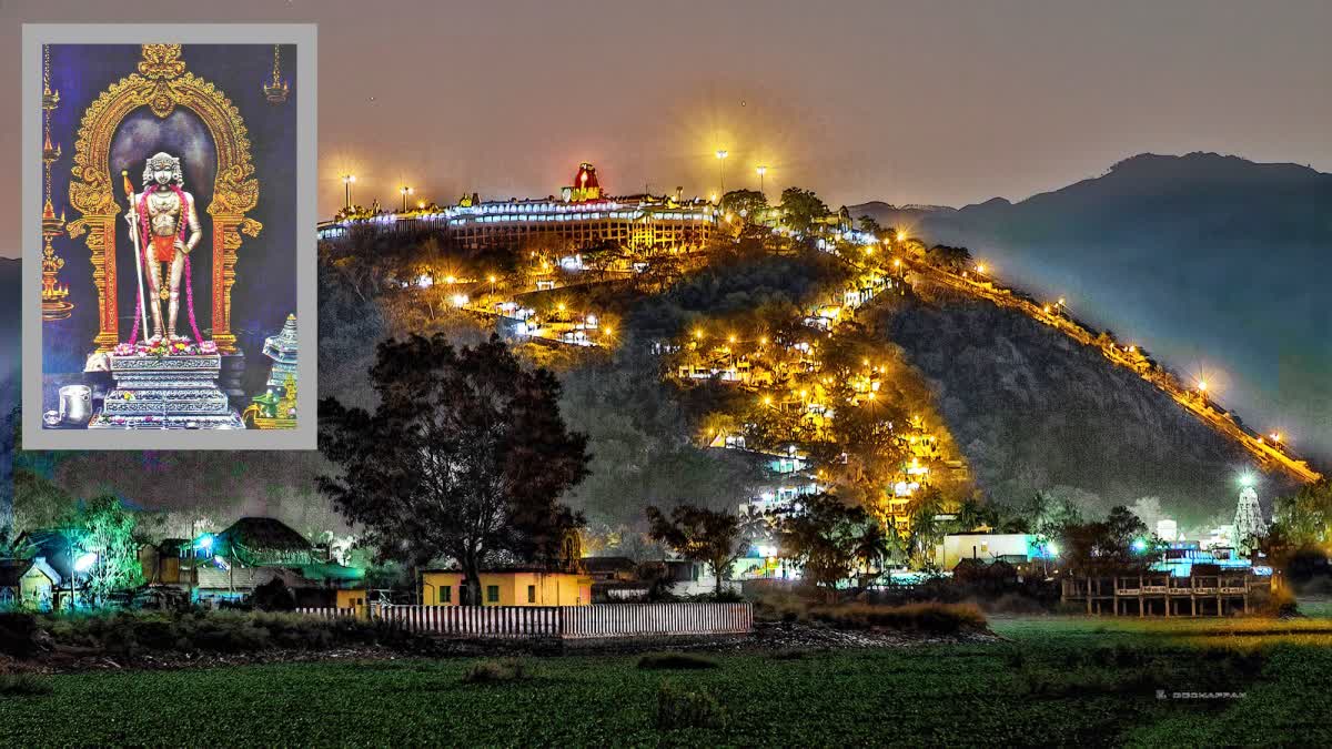 palani_murugan_temple