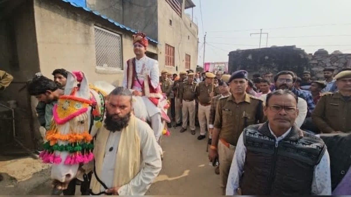 A Mare, Posse Of Police Accompany Groom in Rajasthan Village For 'Happily Ever After' Moment