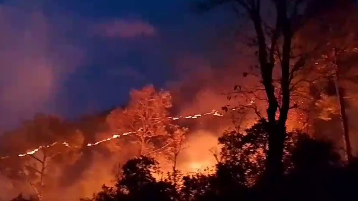 FIRE IN FORESTS OF PAURI