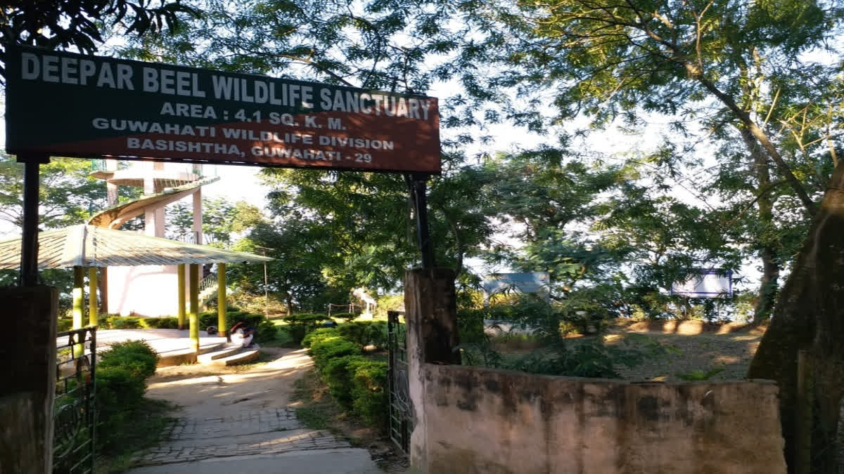 Deepor Beel Controversy: Locals Fear Cycling Tracks May Harm Biodiversity At Ramsar Site