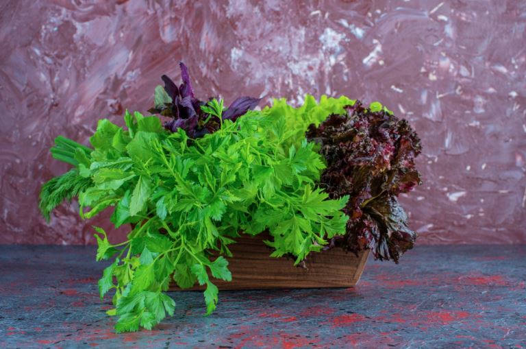 Leafy greens are rich in magnesium and iron