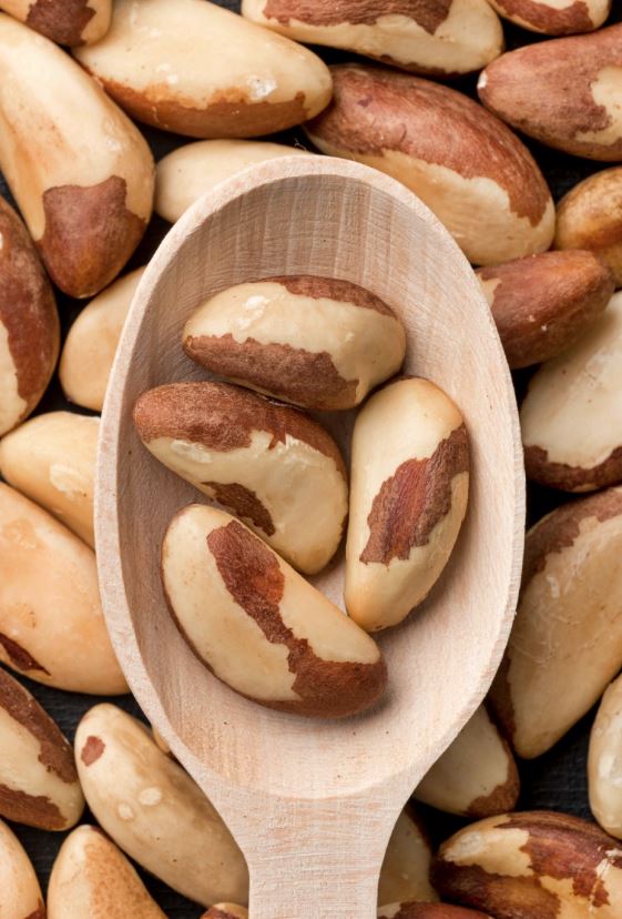 Brazil nuts