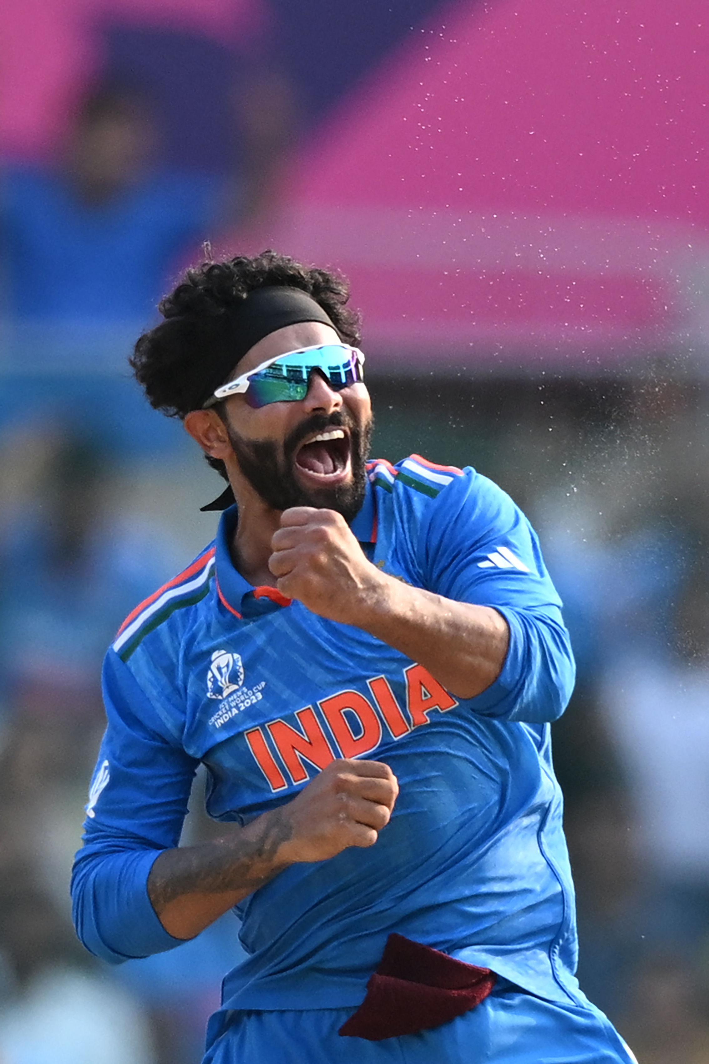 ravindra jadeja