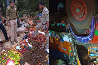 Eight killed, ten injured when truck fell into valley