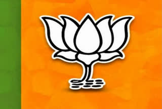 BJP launches new campaign song for Delhi Assembly Election