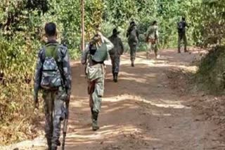 CHHATTISGARH NAXALITE ENCOUNTER  NAXALITE HUNT INDIA  ഛത്തീസ്‌ഗഢ് നക്‌സലൈറ്റ്  നക്‌സലൈറ്റ് ഏറ്റുമുട്ടല്‍