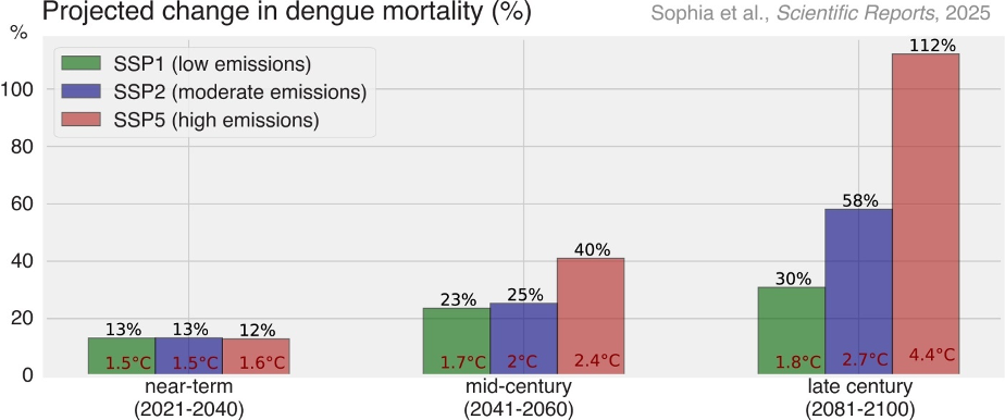 pune dengue disease