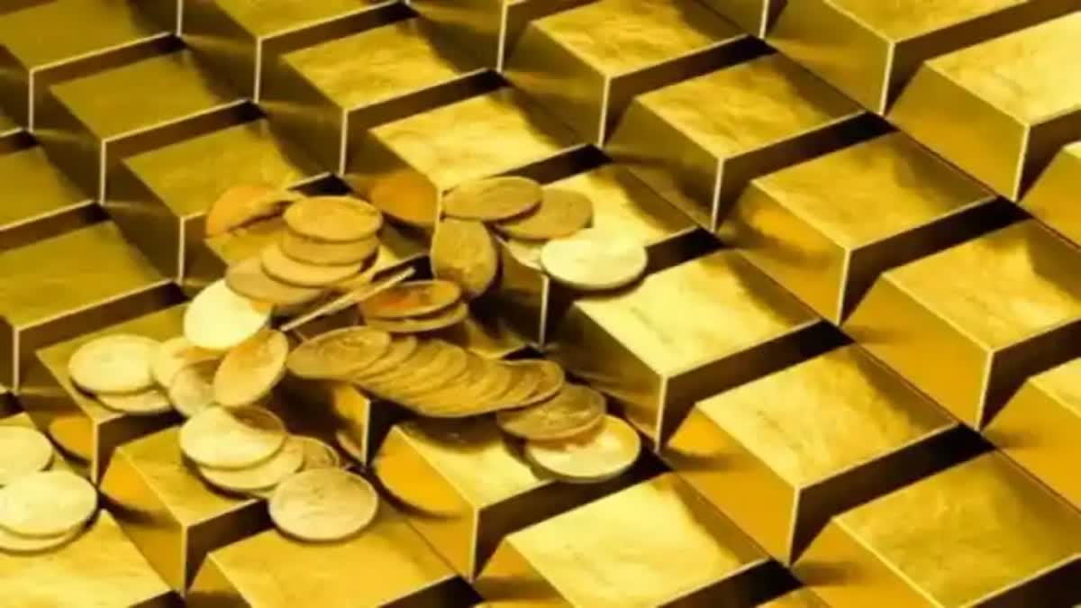 Venezuela Gold Mine Collapse