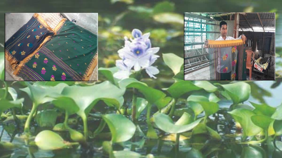 Saree From Water Hyacinth