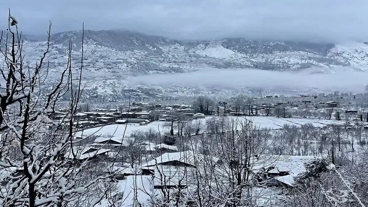 Himachal Weather Update