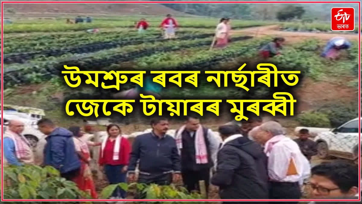 উমশ্ৰুত ৪੦ হেক্টৰ এলেকাৰ ৰবৰ নাৰ্ছাৰী পৰিদৰ্শন জেকে টায়াৰৰ মুৰব্বীৰ