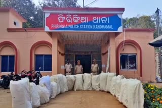 Ganja Seized in Kandhamal