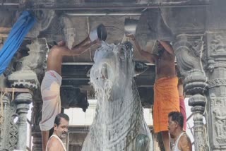 tiruvannamalai annamalaiyar temple pradosham special abishegam for nandi