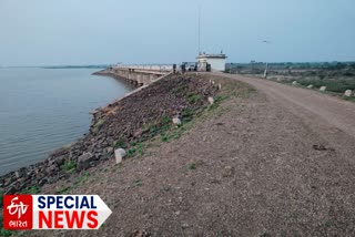 Bhavnagar Water Supply : ભાવનગર જિલ્લામાં અનેક ડેમ તળીયે, સિંચાઈ અને પીવાનું પાણી કેટલું છે જાણો