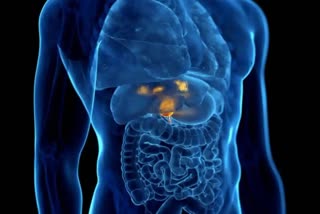 Gallbladder Cancer