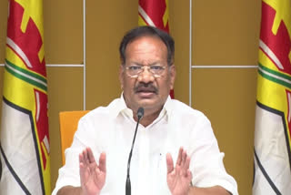 TDP_Nakka_Anand_Babu_Comments