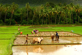 Kisan Samman Nidhi Yojana