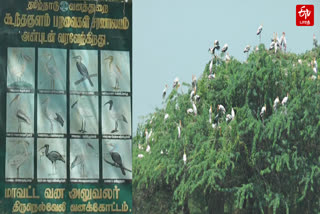 Koonthankulam Bird Sanctuary