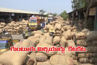 Guntur_Mirchi_Yard_Receives_Huge_Stocks_of_Red_Chillies