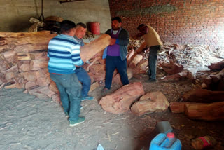 Khair wood seized in Sirmaur