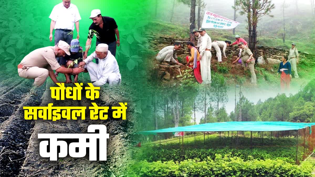 Uttarakhand Plantation Campaign